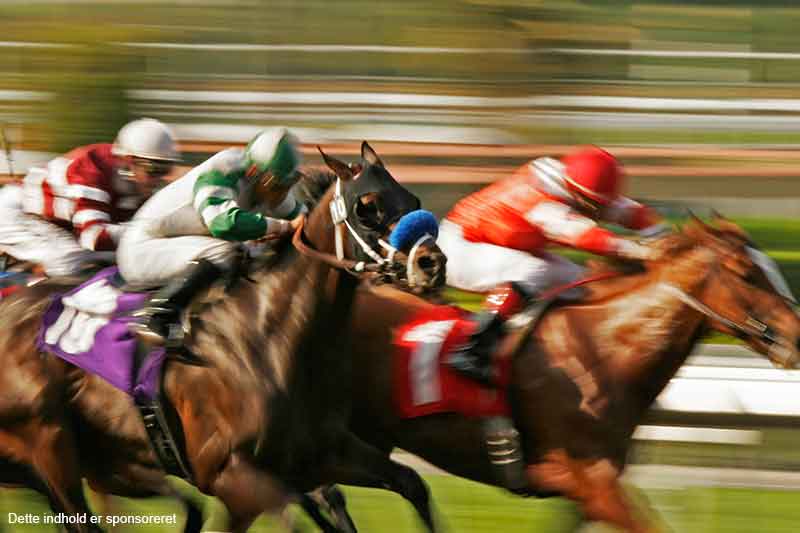 Venner vinder 13,2 millioner kroner på Trav